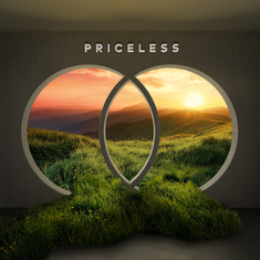 Priceless Album Art