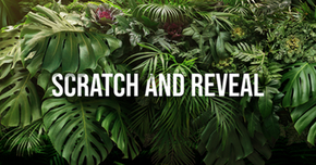 Warner Bros' scratch & reveal personalization for 'Love in the Jungle'